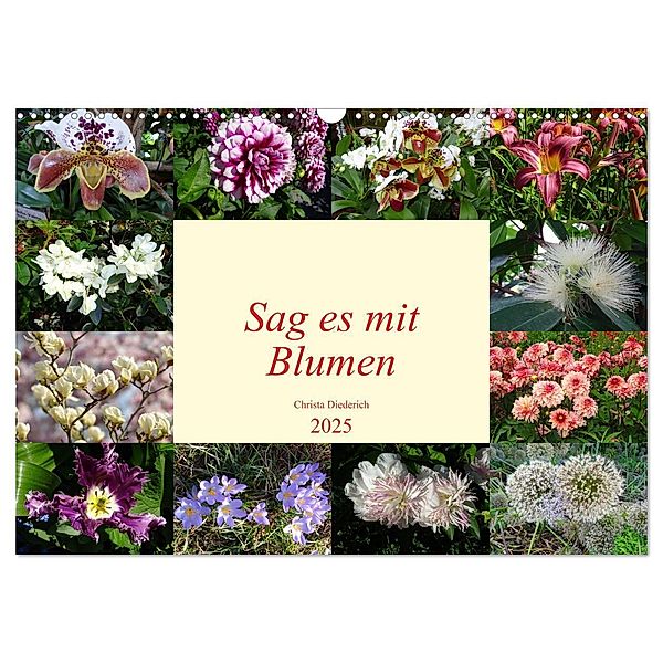 Sag es mit Blumen (Wandkalender 2025 DIN A3 quer), CALVENDO Monatskalender, Calvendo, Christa Diederich