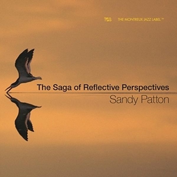 Saga Of Reflective Perspectives, Sandy Patton