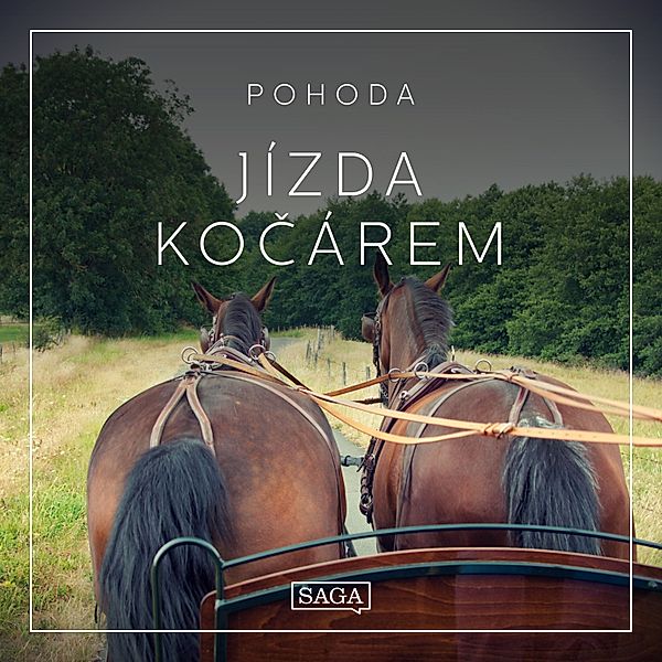 Saga Sounds - Pohoda - Jízda kočárem, Rasmus Broe