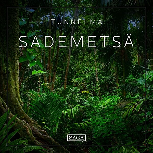 Saga Sounds - Tunnelma - Sademetsä, Rasmus Broe