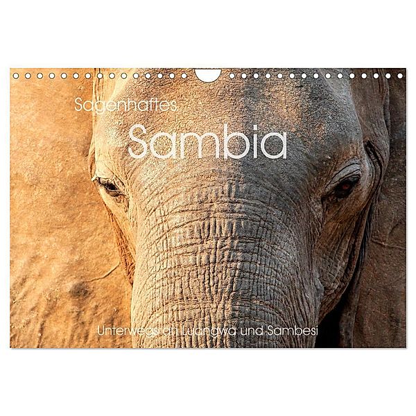 Sagenhaftes Sambia - Unterwegs an Luangwa und Sambesi (Wandkalender 2024 DIN A4 quer), CALVENDO Monatskalender, Markus Leithold