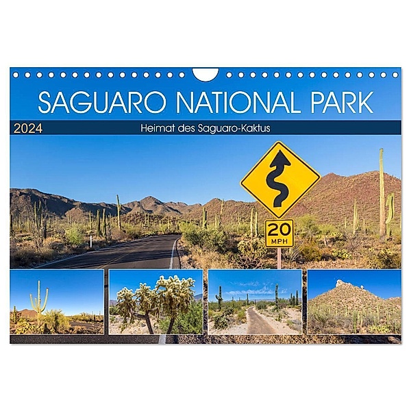 SAGUARO NATIONAL PARK Heimat des Saguaro-Kaktus (Wandkalender 2024 DIN A4 quer), CALVENDO Monatskalender, Melanie Viola