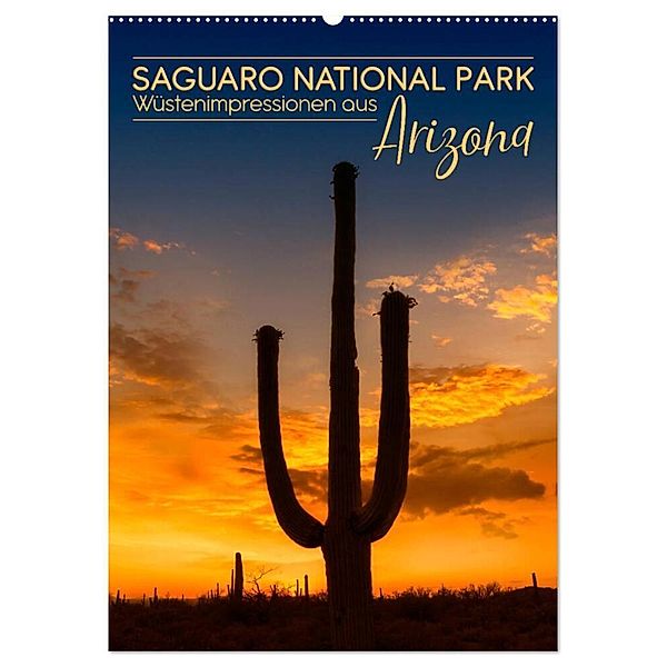 SAGUARO NATIONAL PARK Wüstenimpressionen aus Arizona (Wandkalender 2024 DIN A2 hoch), CALVENDO Monatskalender, Melanie Viola