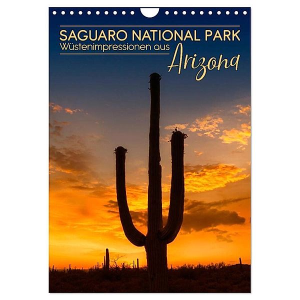 SAGUARO NATIONAL PARK Wüstenimpressionen aus Arizona (Wandkalender 2024 DIN A4 hoch), CALVENDO Monatskalender, Melanie Viola