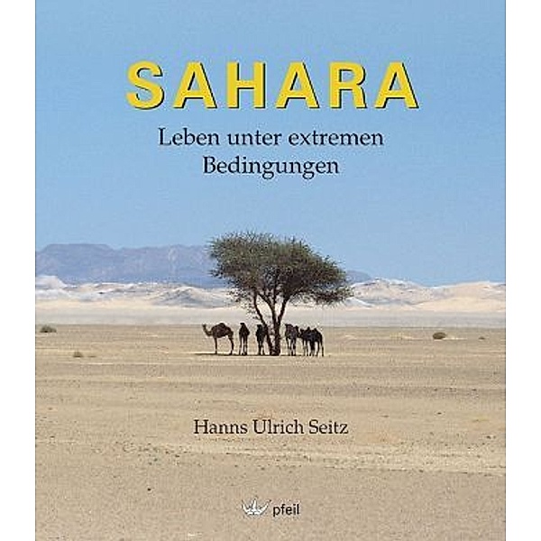 Sahara, Hanns U. Seitz