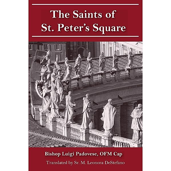 Saints of St. Peter's Square, Luigi Padovesa