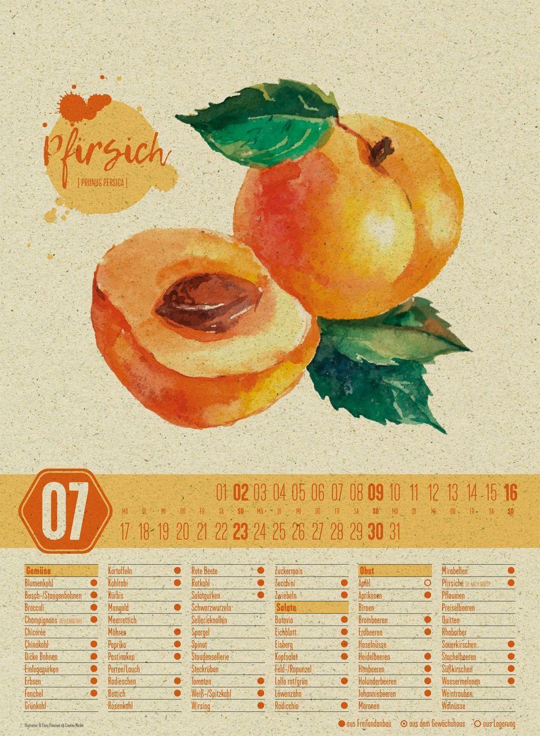 Saisonkalender - Obst & Gemüse - Graspapier-Kalender 2023 - Kalender  bestellen