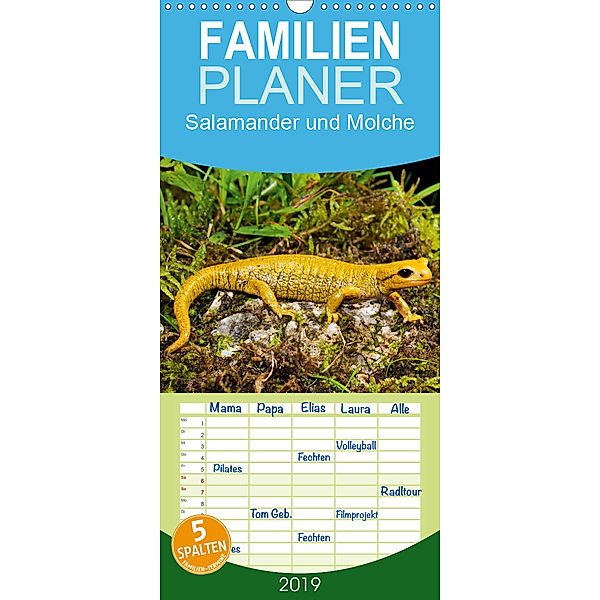 Salamander und Molche - Familienplaner hoch (Wandkalender 2019 , 21 cm x 45 cm, hoch), Benny Trapp