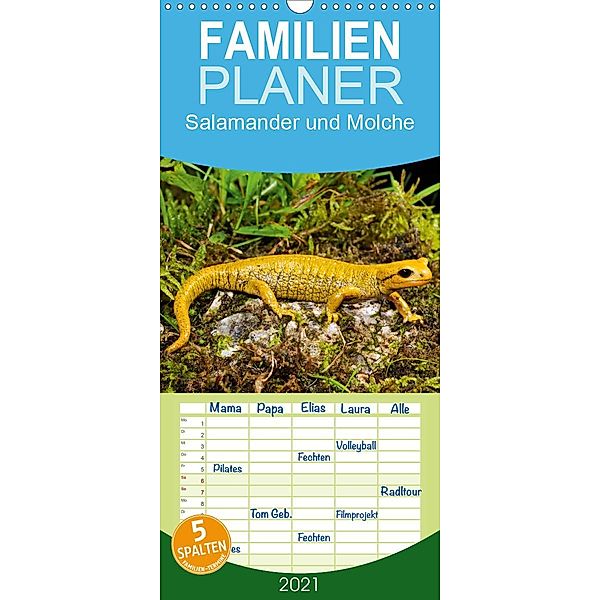 Salamander und Molche - Familienplaner hoch (Wandkalender 2021 , 21 cm x 45 cm, hoch), Benny Trapp