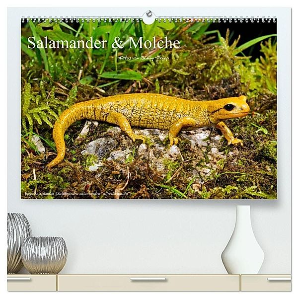 Salamander und Molche (hochwertiger Premium Wandkalender 2024 DIN A2 quer), Kunstdruck in Hochglanz, Benny Trapp