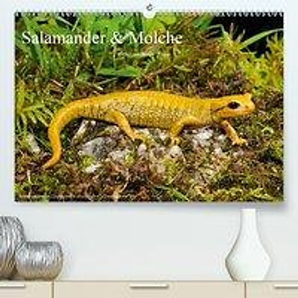 Salamander und Molche (Premium-Kalender 2020 DIN A2 quer), Benny Trapp