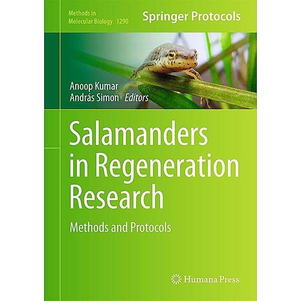 Salamanders in Regeneration Research