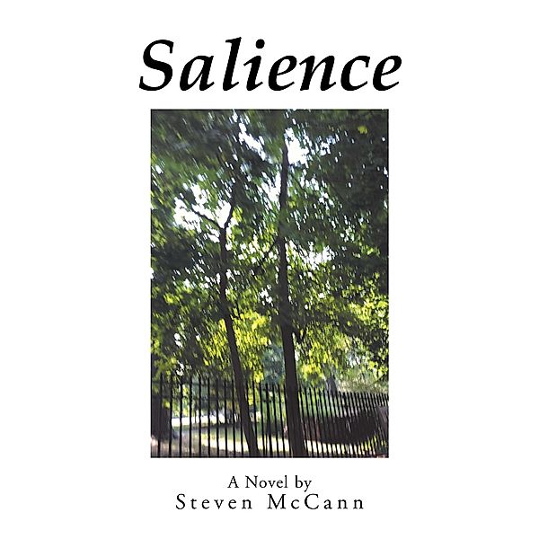 Salience, Steven McCann