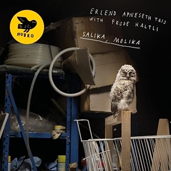 Salika, Molia, Erlend Apneseth Trio, Frode Haltli