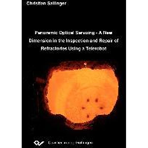 Sallinger, C: Panoramic Optical Servoing - A New Dimension, Christian Sallinger