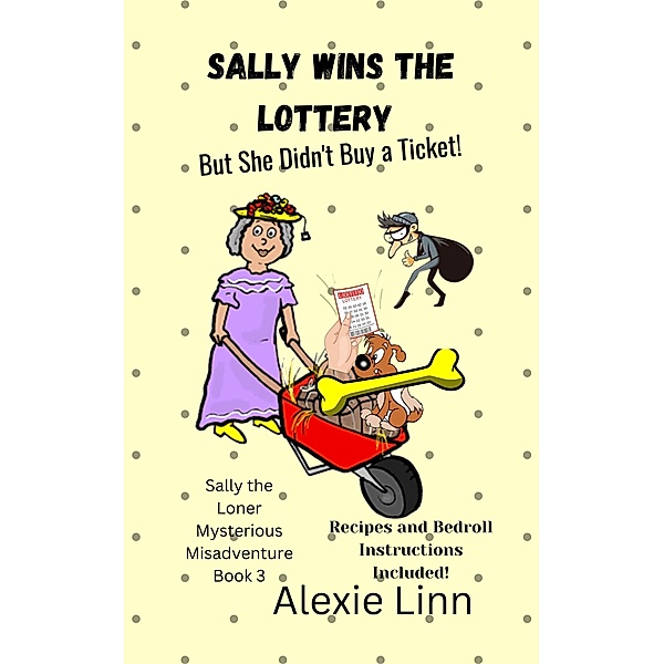 Sally Wins the Lottery -- But She Didn't Buy the Ticket (Sally the Loner, #3) / Sally the Loner, Alexie Linn