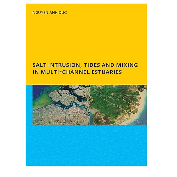 Salt Intrusion, Tides and Mixing in Multi-Channel Estuaries, Anh Duc Nguyen
