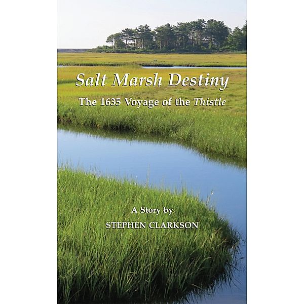 Salt Marsh Destiny, Stephen Clarkson