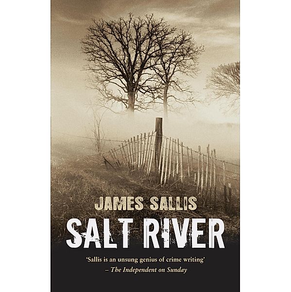 Salt River / Turner Trilogy Bd.3, James Sallis