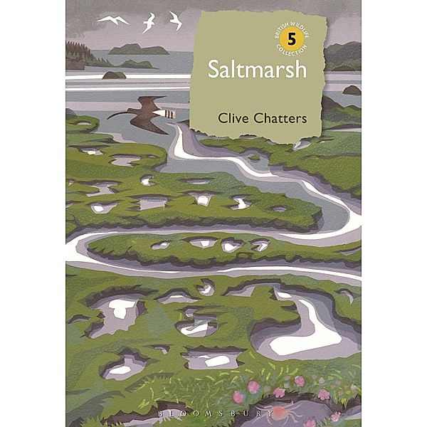 Saltmarsh, Clive Chatters