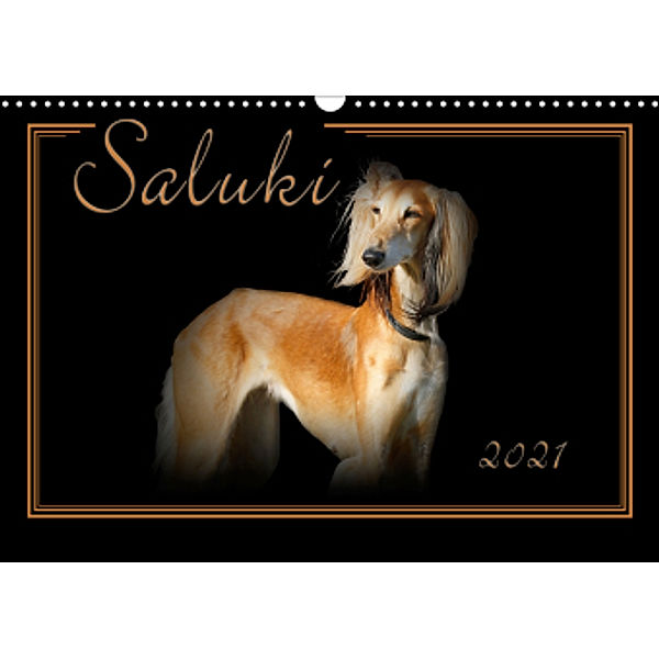 Saluki 2021 (Wandkalender 2021 DIN A3 quer), Andrea Redecker