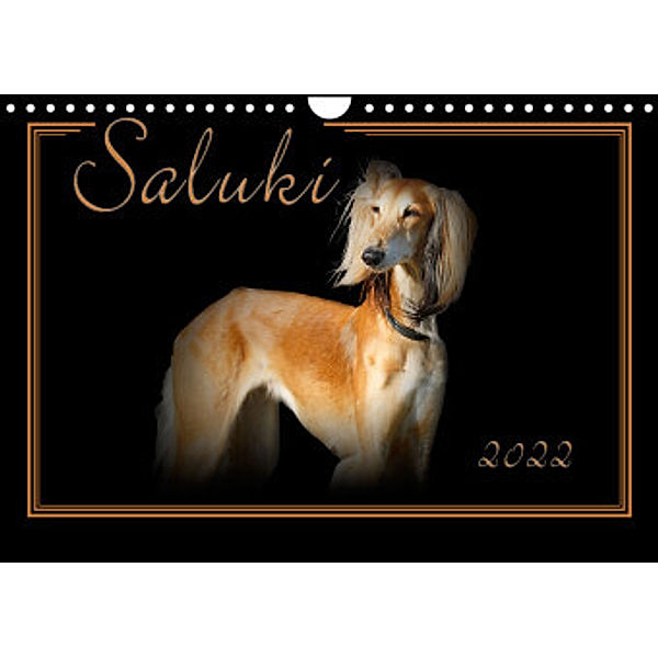 Saluki 2022 (Wandkalender 2022 DIN A4 quer), Andrea Redecker