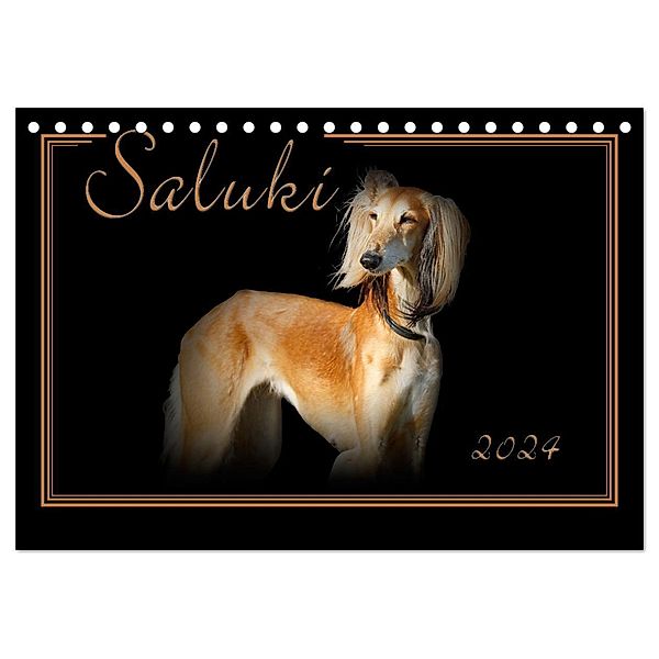 Saluki 2024 (Tischkalender 2024 DIN A5 quer), CALVENDO Monatskalender, Andrea Redecker