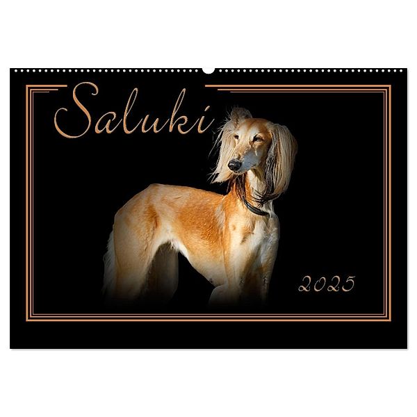 Saluki 2025 (Wandkalender 2025 DIN A2 quer), CALVENDO Monatskalender, Calvendo, Andrea Redecker