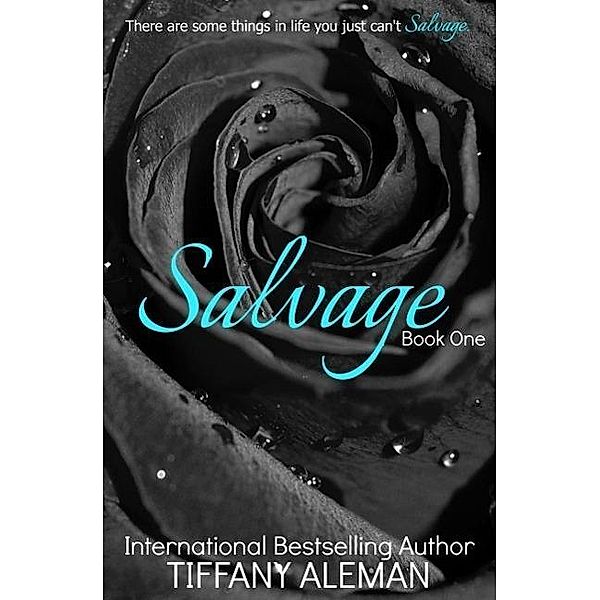 Salvage (Salvage Duet, #1), Tiffany Aleman