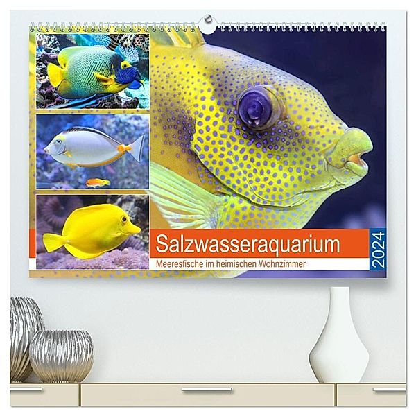 Salzwasseraquarium. Meeresfische im heimischen Wohnzimmer (hochwertiger Premium Wandkalender 2024 DIN A2 quer), Kunstdruck in Hochglanz, Rose Hurley