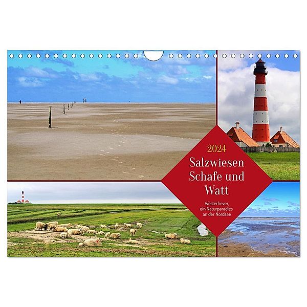 Salzwiesen, Schafe und Watt - Westerhever, ein Naturparadies an der Nordsee (Wandkalender 2024 DIN A4 quer), CALVENDO Monatskalender, Michaela Schimmack