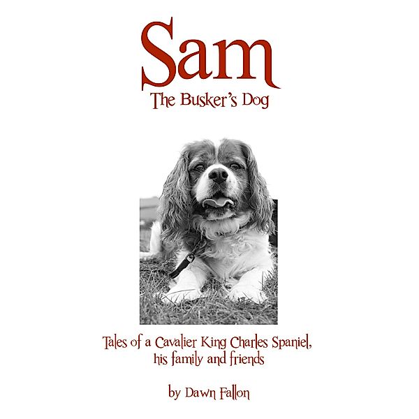 Sam - The Busker's Dog, Dawn Fallon