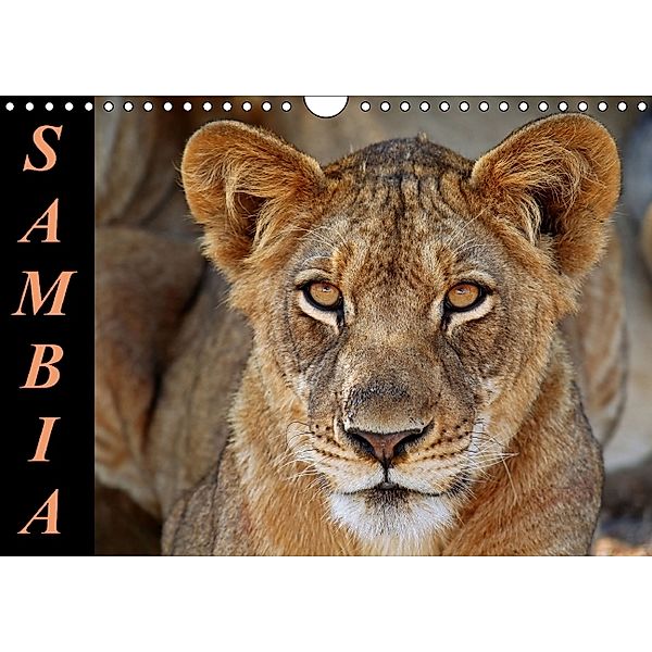 Sambia - wundervolle Wildnis (Wandkalender 2014 DIN A4 quer), Wibke Woyke