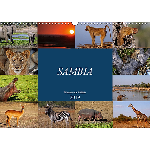 Sambia - wundervolle Wildnis (Wandkalender 2019 DIN A3 quer), Wibke Woyke