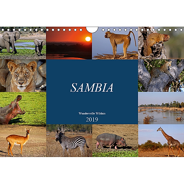 Sambia - wundervolle Wildnis (Wandkalender 2019 DIN A4 quer), Wibke Woyke