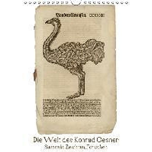 Sammeln, Zeichnen, Forschen - Die Welt des Konrad Gesner (Wandkalender 2016 DIN A4 hoch), Calvendo