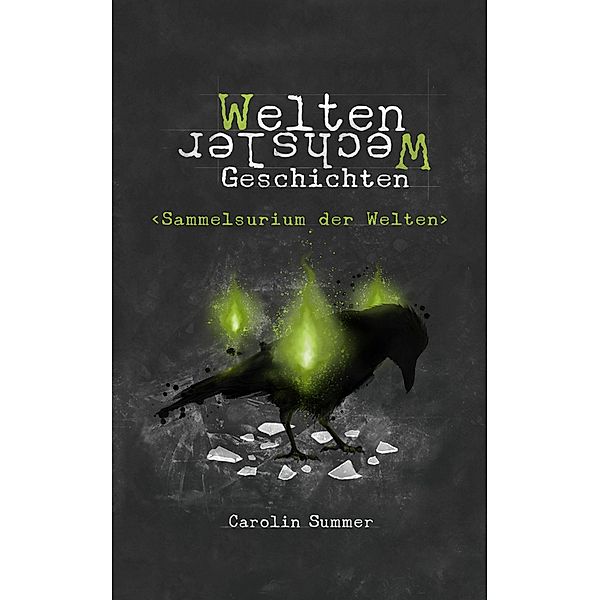 Sammelsurium der Welten / WeltenWechsler Geschichten Bd.2, Carolin Summer