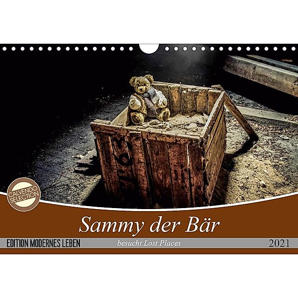 Sammy der Bär besucht Lost Places (Wandkalender 2021 DIN A4 quer), Schnellewelten