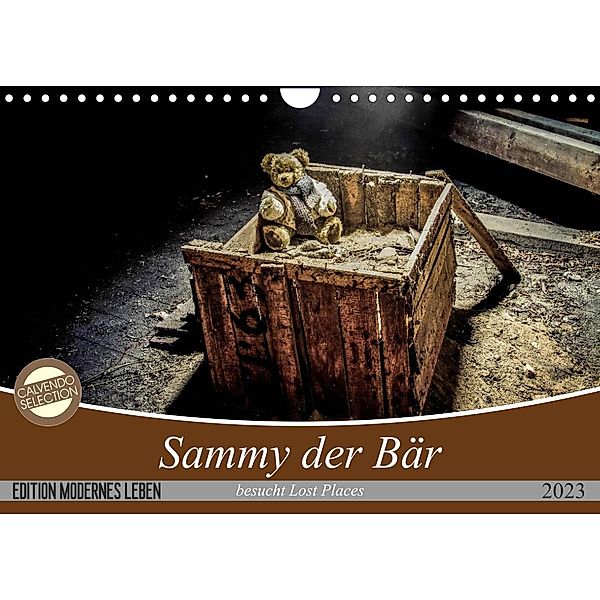 Sammy der Bär besucht Lost Places (Wandkalender 2023 DIN A4 quer), Schnellewelten