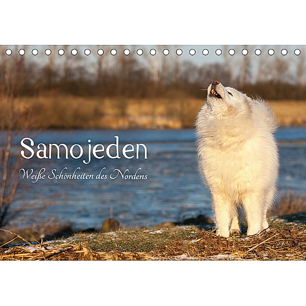 Samojeden - Liebenswerte Fellkugeln (Tischkalender 2019 DIN A5 quer), Tierpfoto Annett Mirsberger