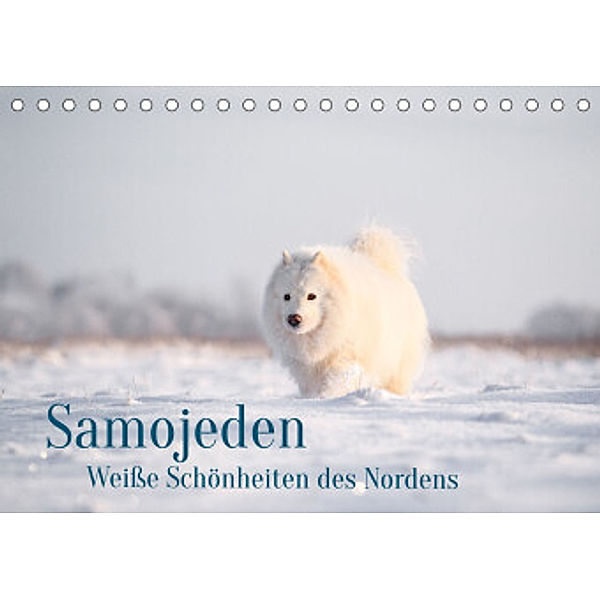 Samojeden - Liebenswerte Fellkugeln (Tischkalender 2022 DIN A5 quer), Annett Mirsberger