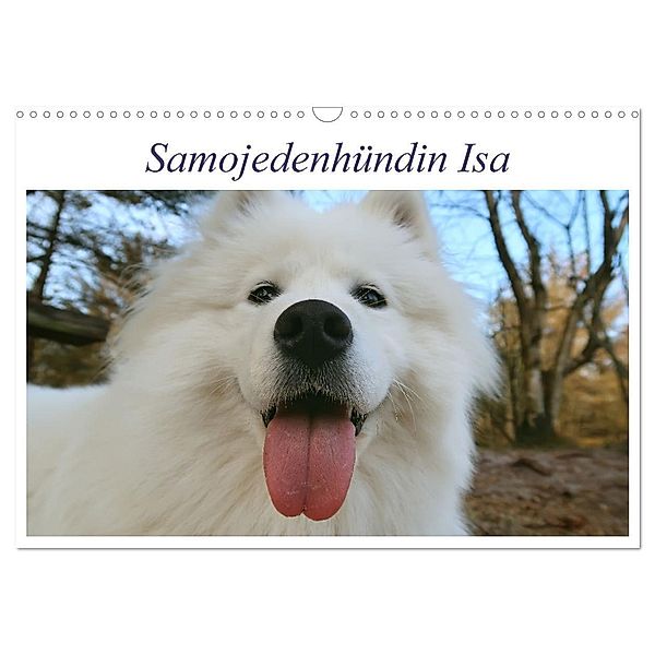 Samojedenhündin Isa (Wandkalender 2024 DIN A3 quer), CALVENDO Monatskalender, Bo Valentino