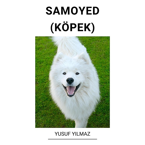 Samoyed (Köpek), Yusuf Yilmaz