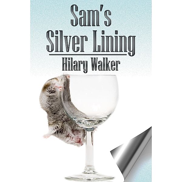 Sam's Silver Lining / JMS Books LLC, Hilary Walker