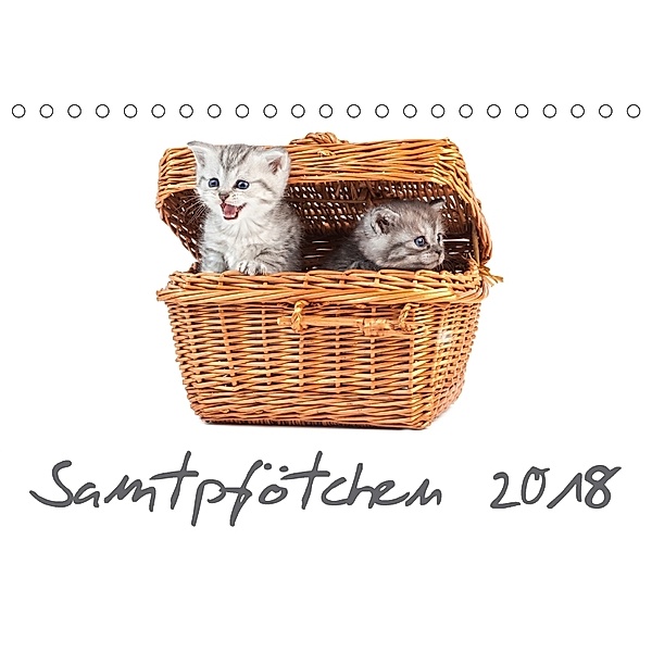 Samtpfötchen (Tischkalender 2018 DIN A5 quer), HeschFoto