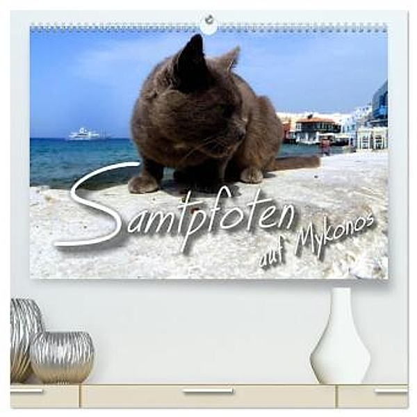 SAMTPFOTEN auf Mykonos (hochwertiger Premium Wandkalender 2024 DIN A2 quer), Kunstdruck in Hochglanz, Renate Bleicher