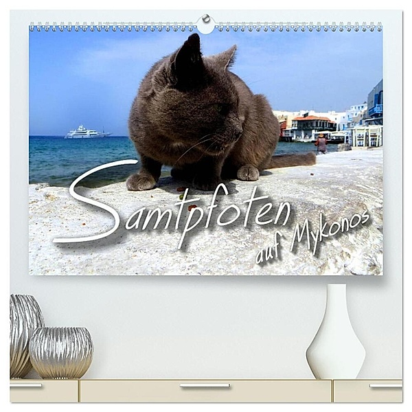 SAMTPFOTEN auf Mykonos (hochwertiger Premium Wandkalender 2025 DIN A2 quer), Kunstdruck in Hochglanz, Calvendo, Renate Bleicher