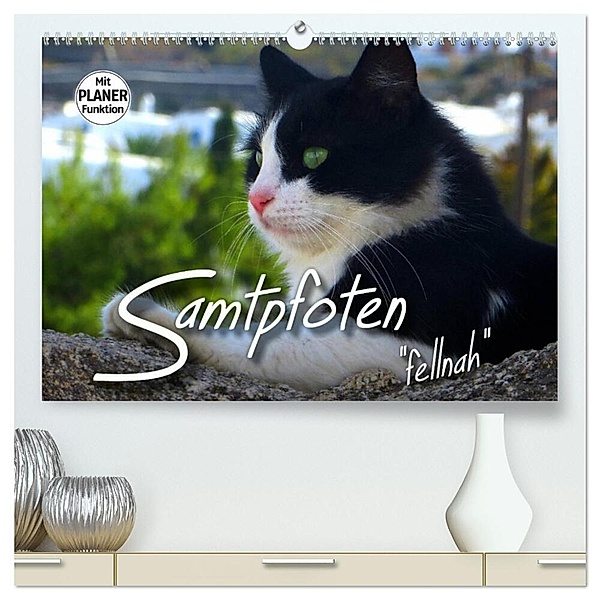 SAMTPFOTEN fellnah (hochwertiger Premium Wandkalender 2024 DIN A2 quer), Kunstdruck in Hochglanz, Renate Bleicher