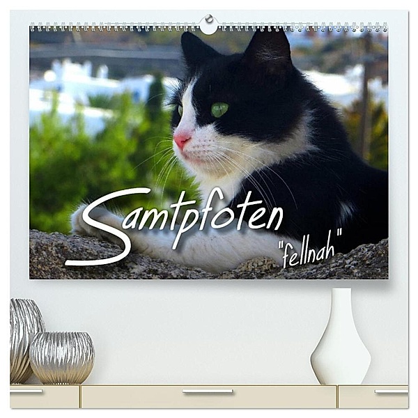 SAMTPFOTEN fellnah (hochwertiger Premium Wandkalender 2024 DIN A2 quer), Kunstdruck in Hochglanz, Renate Bleicher