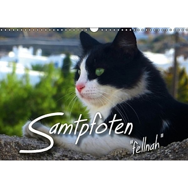 SAMTPFOTEN fellnah (Wandkalender 2015 DIN A3 quer), Renate Bleicher